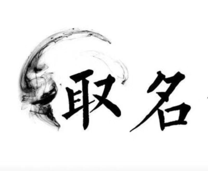  安平宝宝取名 大师一对一人工起名