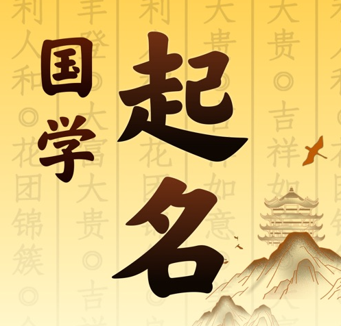 安平国学起名 人工起名一对一